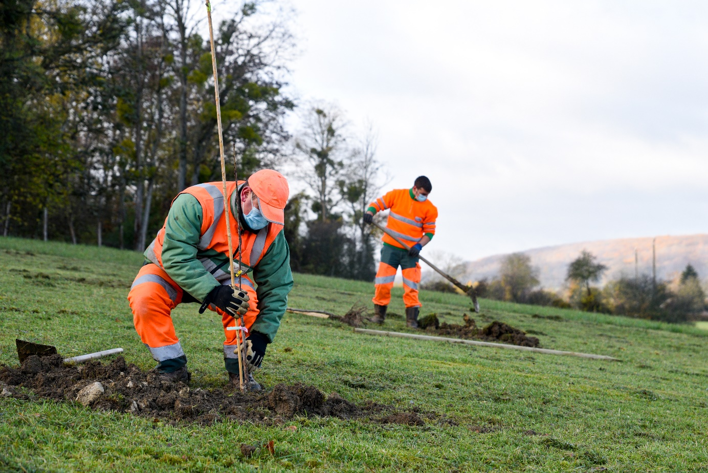 Plantation d'arbre par les agents du Conseil départemental de la Nièvre